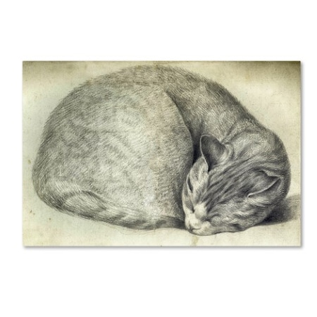 Vintage Apple Collection 'Sleeping Cat' Canvas Art,16x24